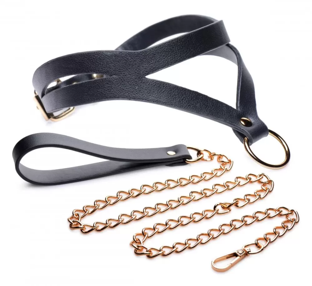 Hot Healthy & Active Black and Gold Collar with Leash Kit