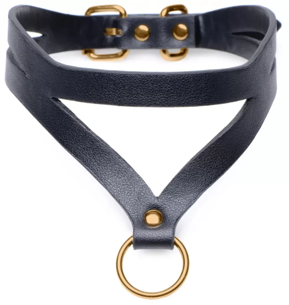Hot Healthy & Active Black and Gold Collar with Leash Kit