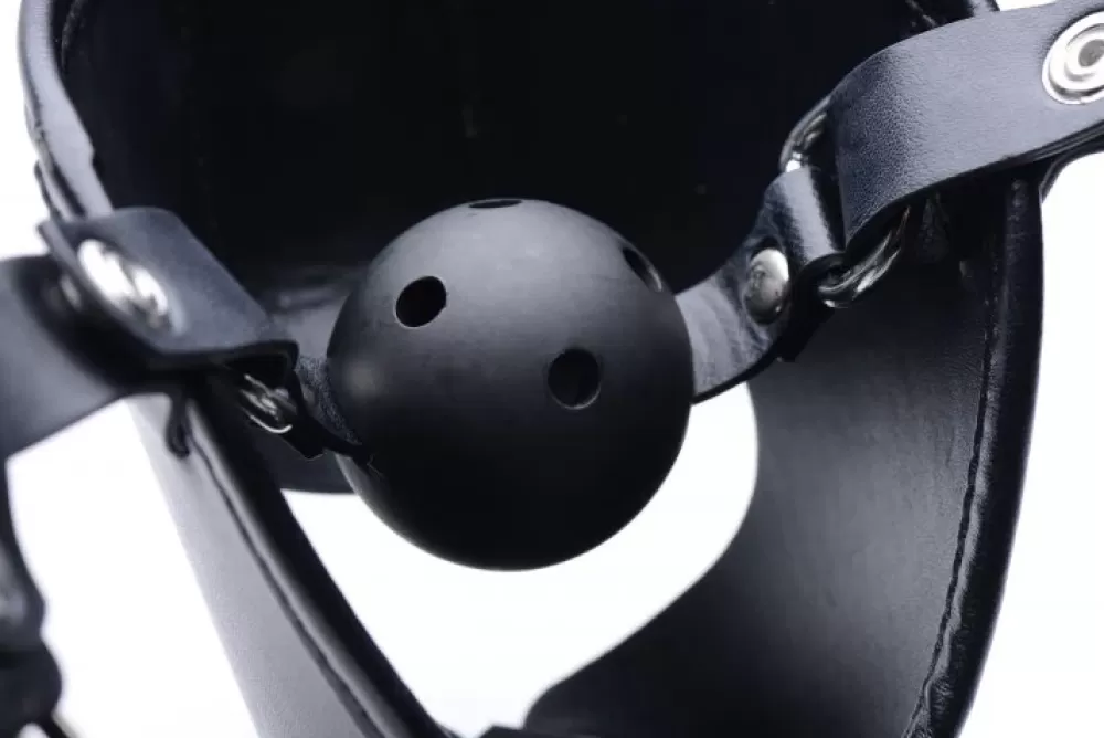 Cheap Healthy & Active Puppy Play Hood and Breathable Ball Gag