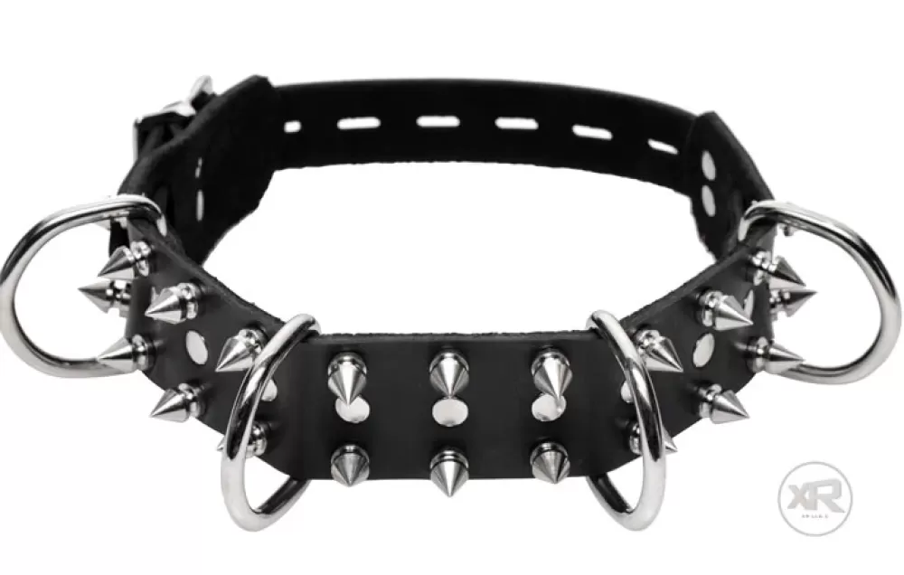 New Healthy & Active Spiked Collar and Leash Set
