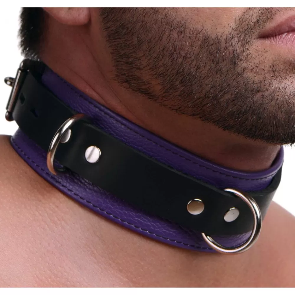 Fashion Healthy & Active Strict Leather Deluxe Locking Collar