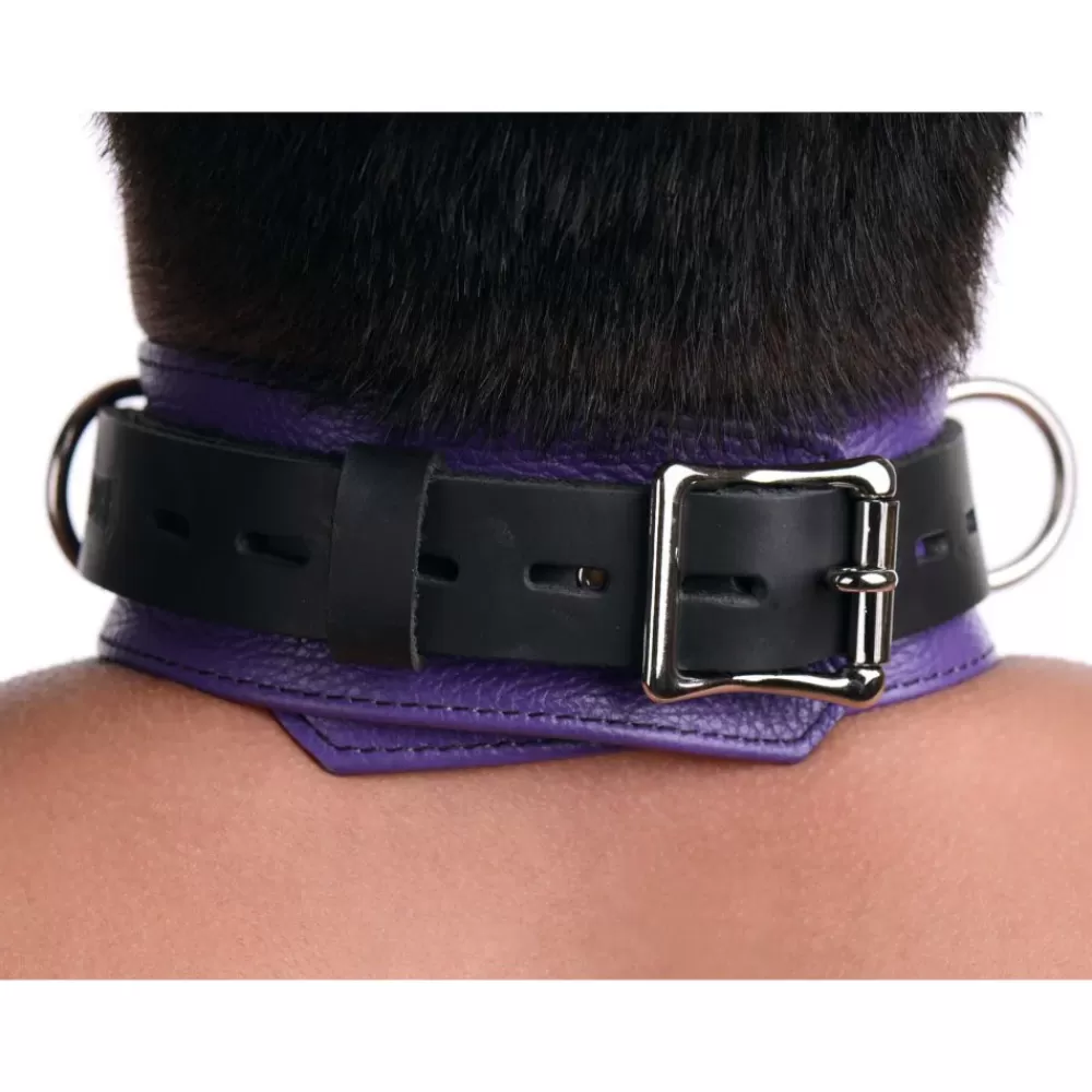 Fashion Healthy & Active Strict Leather Deluxe Locking Collar